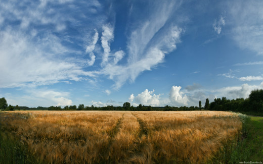 485834 (a): :1920x1200